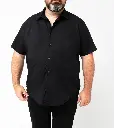 40178480054_11.webp
