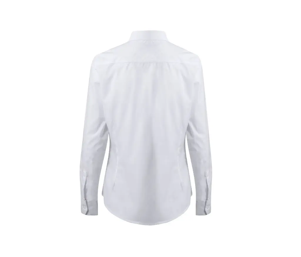 V5011_00_back.webp